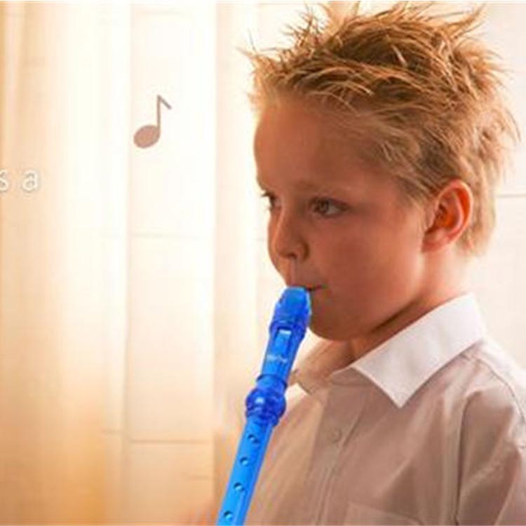 Sopran Descant Recorder-8 hul m / instruktion til rengøringsstang